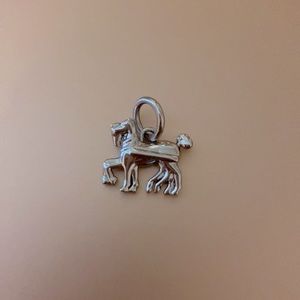 Coach horse charm